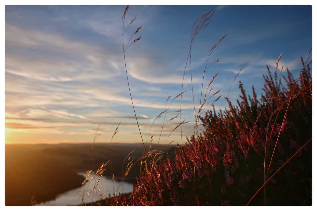 I Don’t Want To Do&nbsp;Anything