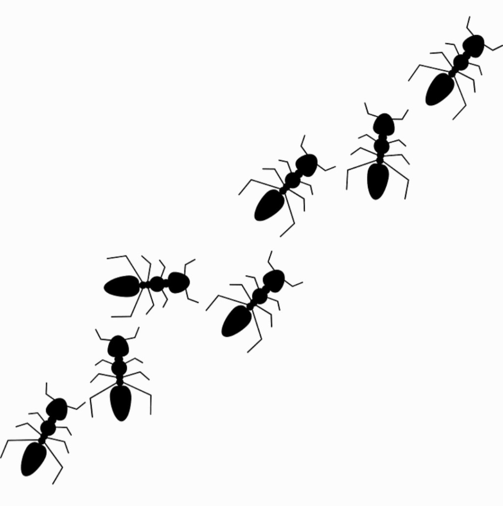 Formication: What Is That Sensation In My&nbsp;Face?